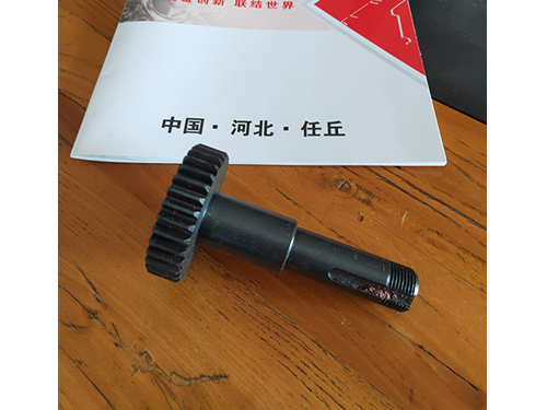 山東軸1